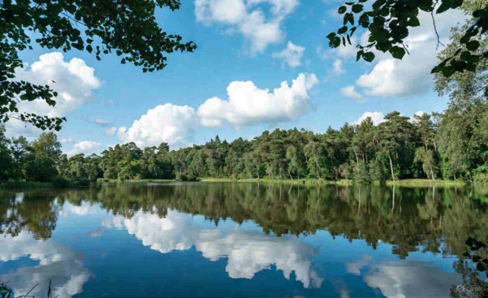 ical capcut template