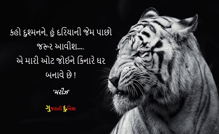 attitude shayari gujarati