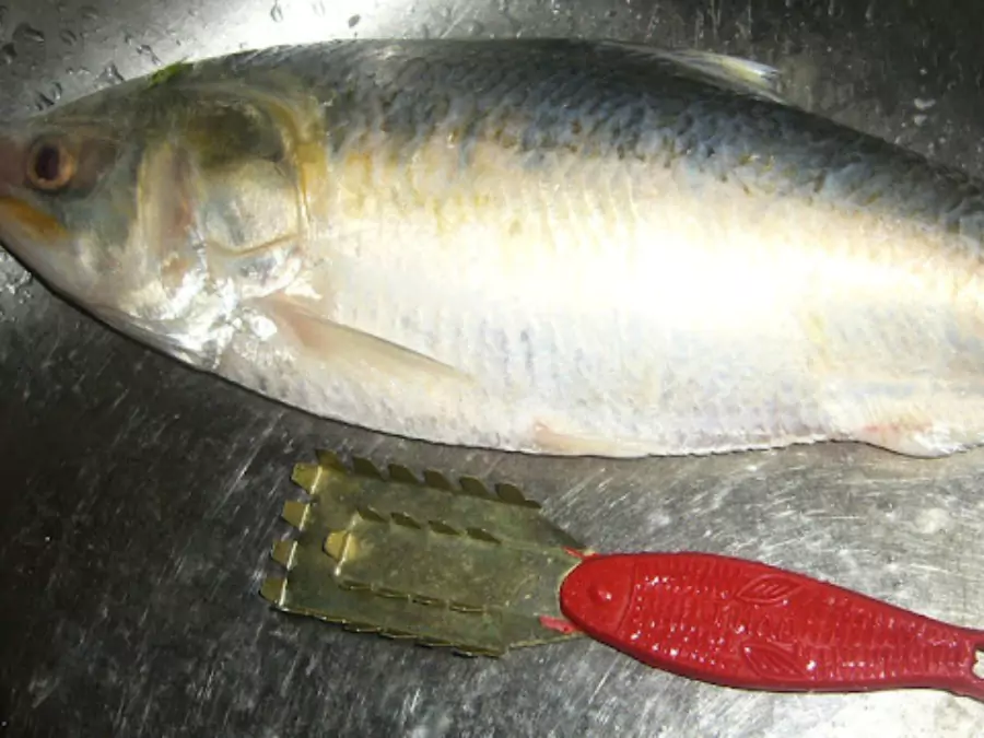 ilish