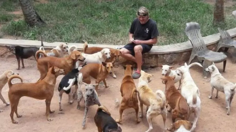 কুকুরের ছবি