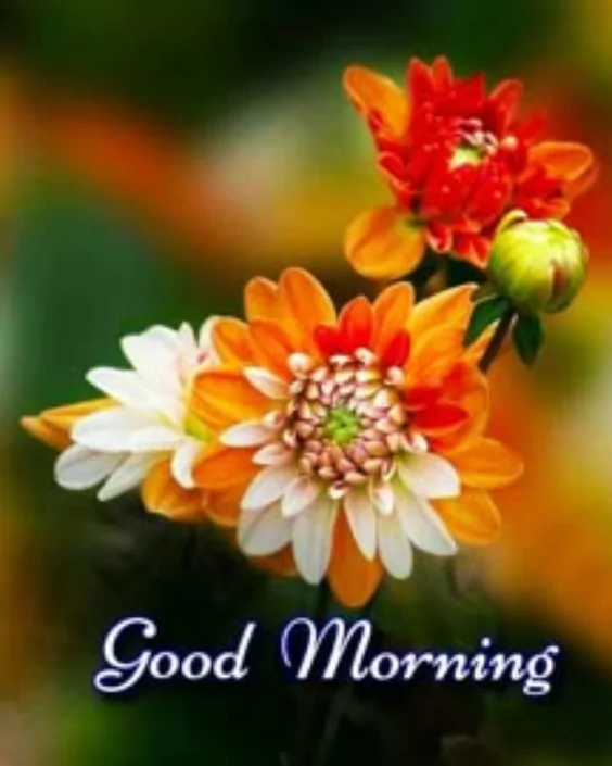 new good morning picture