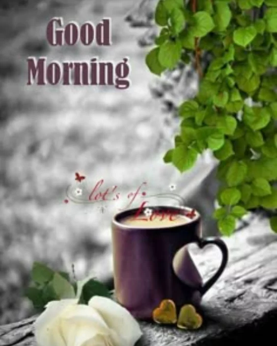 শুভ সকাল পিকচার