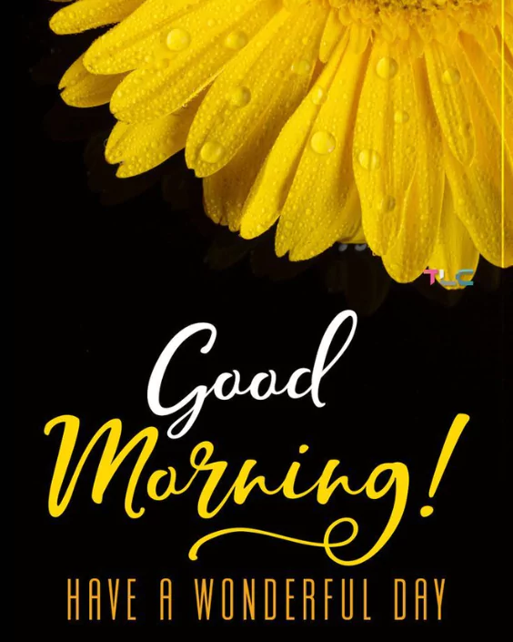 শুভ সকাল পিকচার