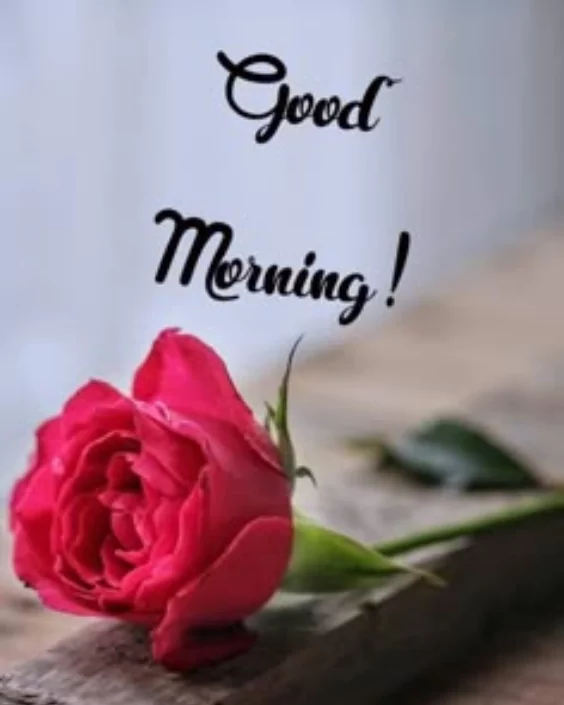 শুভ সকাল পিকচার