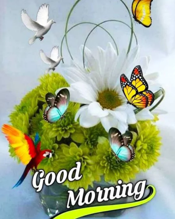 good morning new images