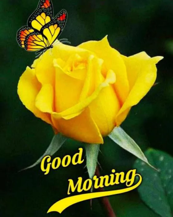 new good morning picture