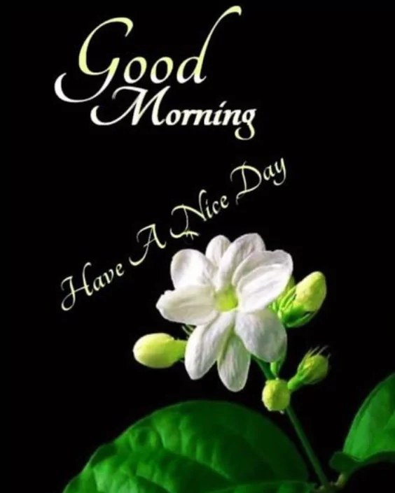 new good morning picture