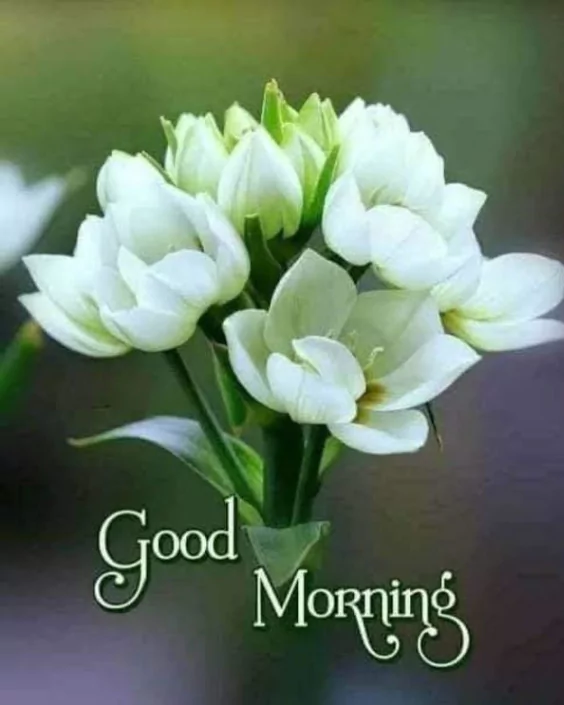 new good morning picture
