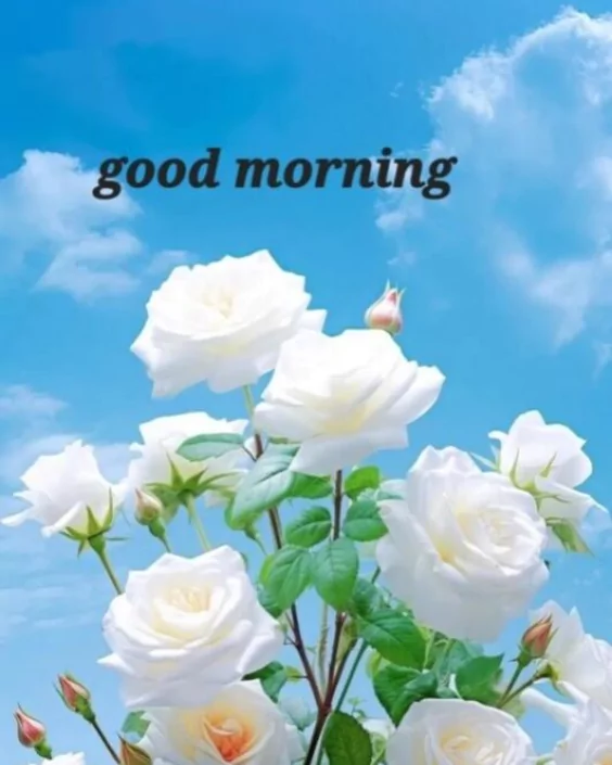 শুভ সকাল ছবি