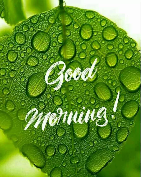 good morning new images