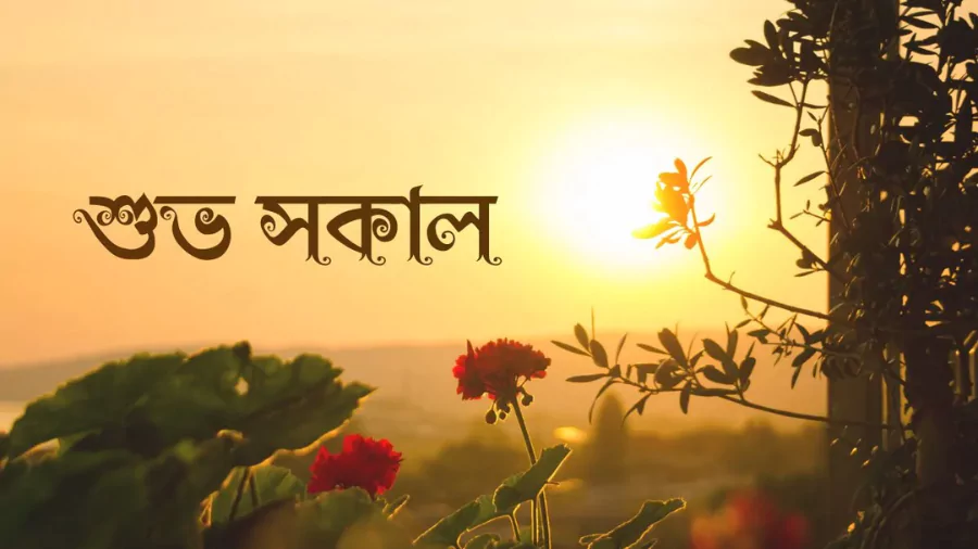 শুভ সকালের ছবি