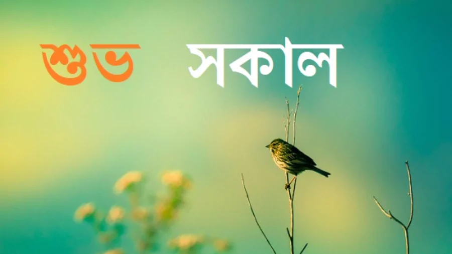 শুভ সকালের ছবি