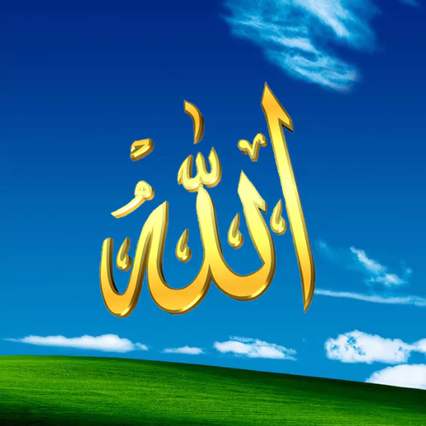 আল্লাহ পিকচার