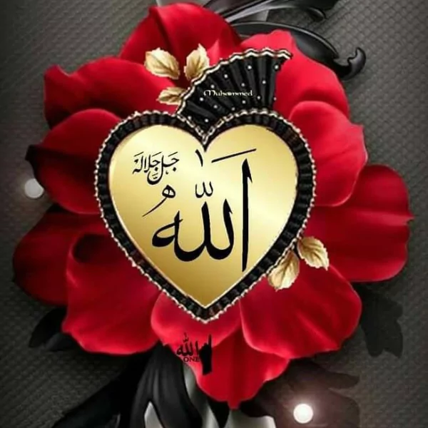 আল্লাহ পিকচার