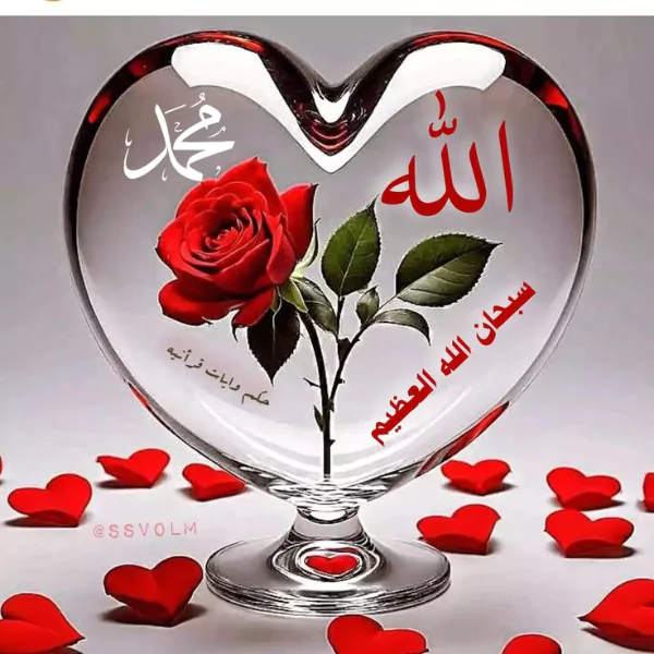 আল্লাহ পিকচার