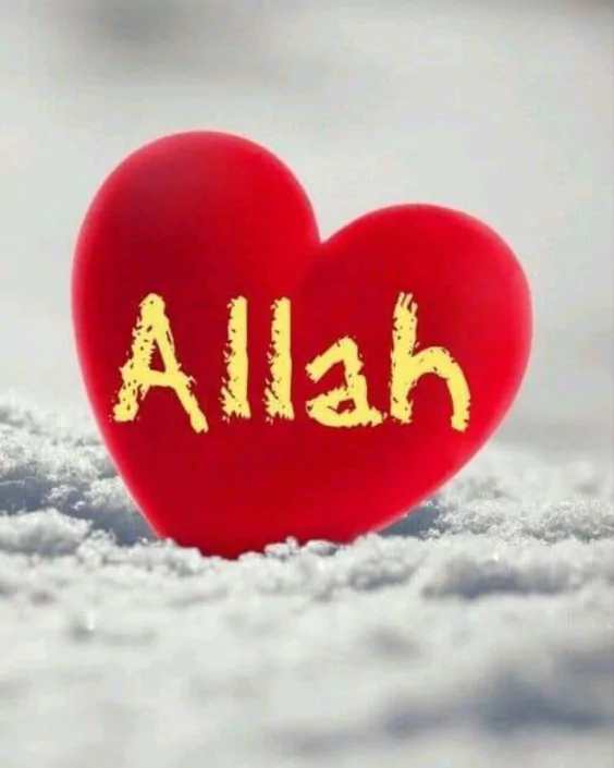 আল্লাহ পিকচার