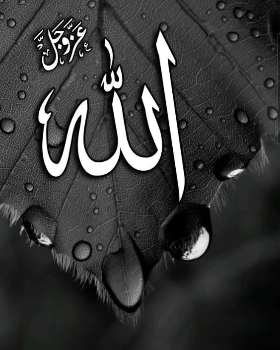 allah pictures