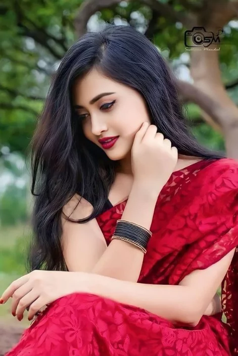 Lal Saree Pora Pic