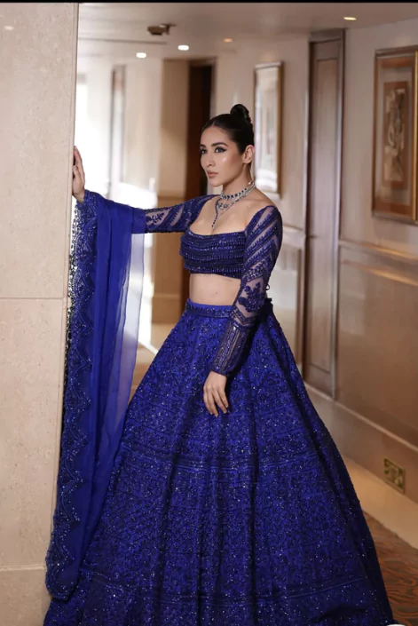 লেহেঙ্গা পিকচার