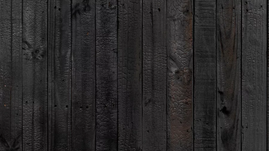photo background