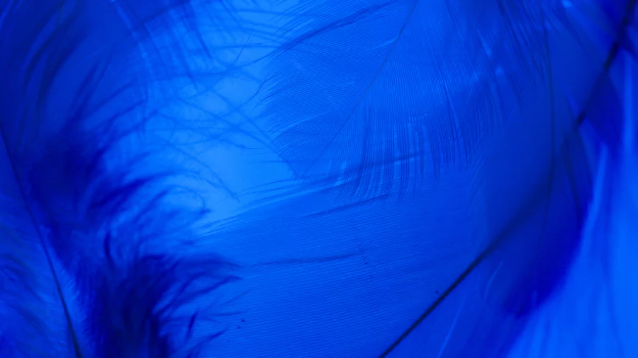 ব্যাকগ্রাউন্ড