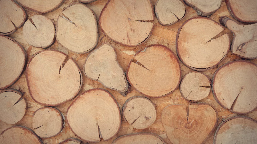 ব্যাকগ্রাউন্ড