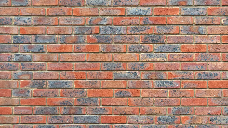 background photo