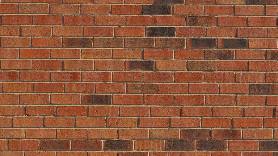 ব্যাকগ্রাউন্ড