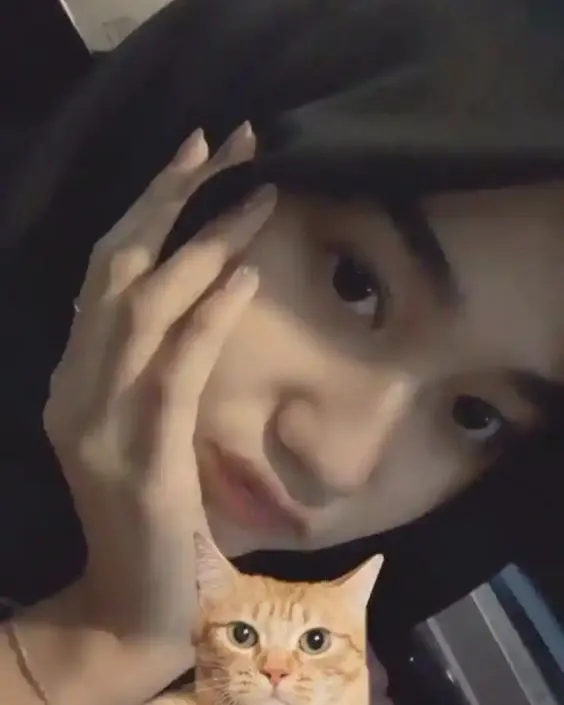 বোরকা পরা পিক