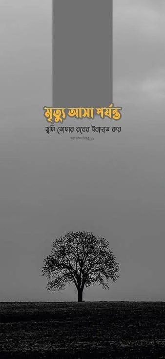 Islamic Wallpaper ┃ ইসলামিক ওয়ালপেপার