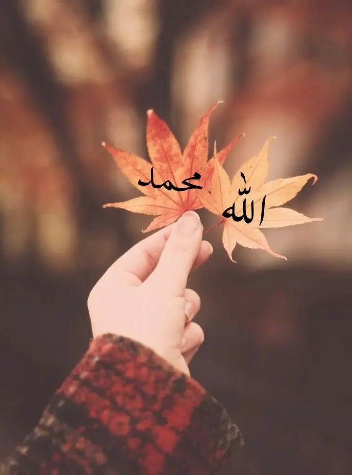 ইসলামিক পিক hd